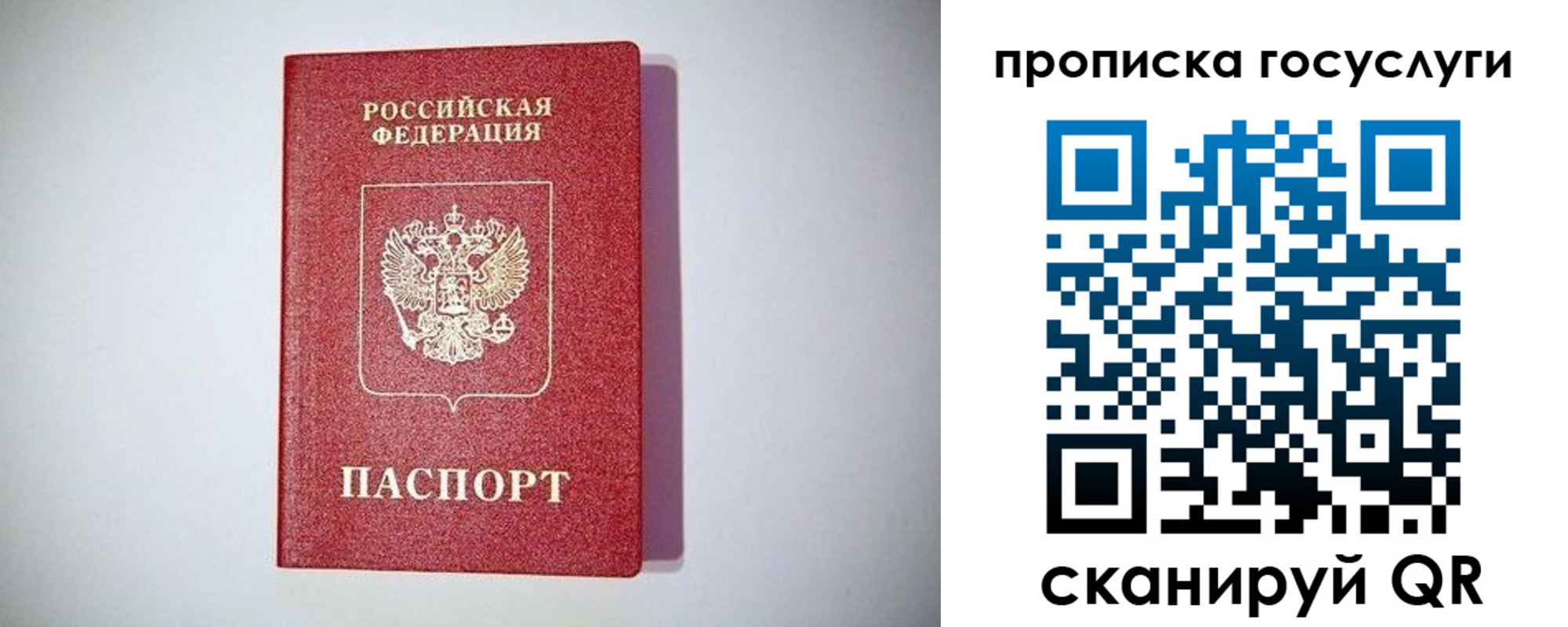 временная регистрация госуслуги в Завитинске